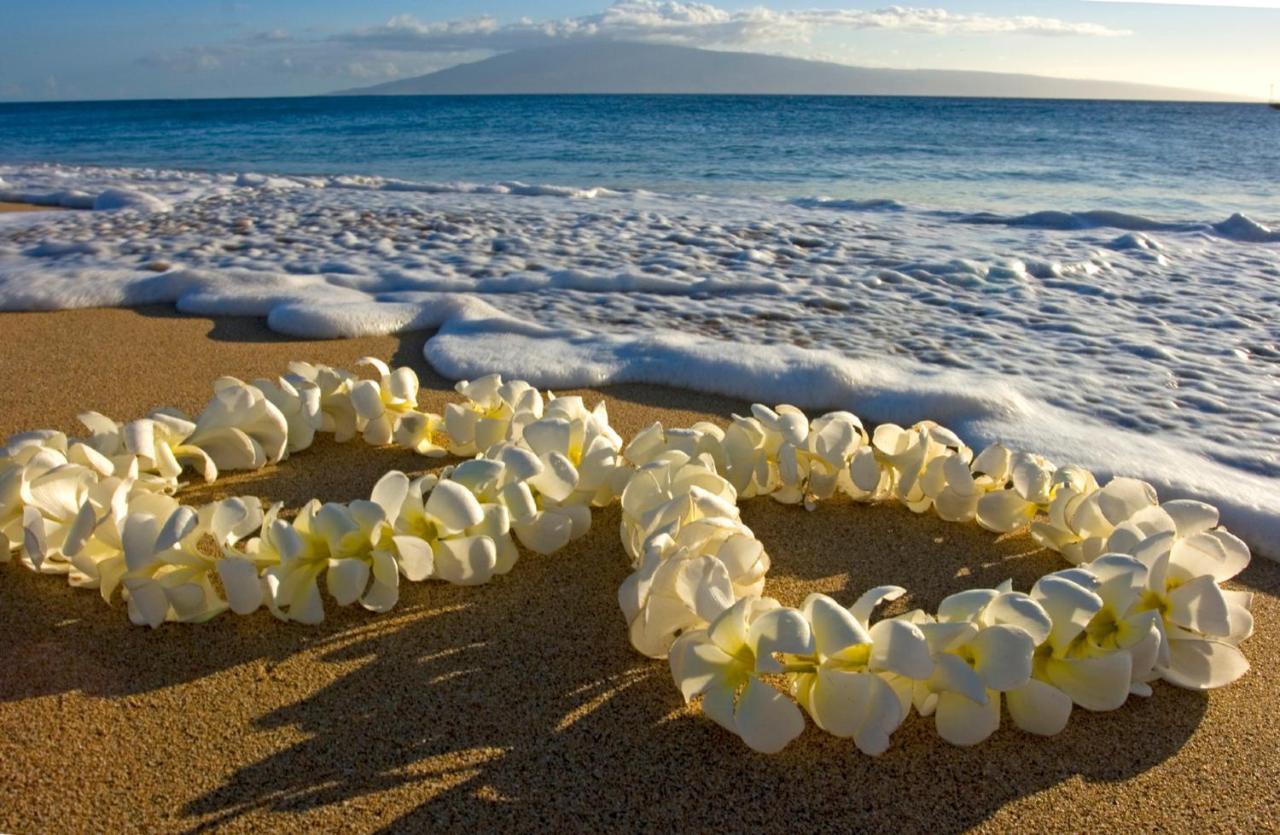 Appartamento Cozy & Diamond Head View At Waikiki With Parking Honolulu Esterno foto